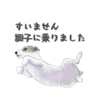 水彩画ジャックラッセルテリア（あるある）（個別スタンプ：30）