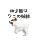 水彩画ジャックラッセルテリア（あるある）（個別スタンプ：39）