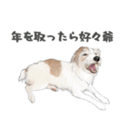 水彩画ジャックラッセルテリア（あるある）（個別スタンプ：40）