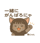 秀にゃんの日常会話スタンプ（個別スタンプ：19）