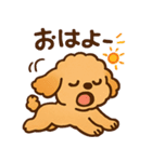 ぷーどるちゃんスタンプ vol.2（個別スタンプ：1）