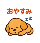 ぷーどるちゃんスタンプ vol.2（個別スタンプ：15）