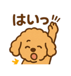 ぷーどるちゃんスタンプ vol.2（個別スタンプ：19）