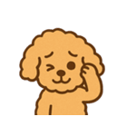 ぷーどるちゃんスタンプ vol.2（個別スタンプ：20）