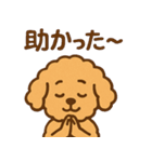 ぷーどるちゃんスタンプ vol.2（個別スタンプ：21）