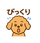 ぷーどるちゃんスタンプ vol.2（個別スタンプ：23）