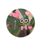 童謡カエルの合唱（個別スタンプ：3）