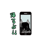 可愛いチンチラ、達磨くん/Black Velvet（個別スタンプ：6）