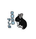 可愛いチンチラ、達磨くん/Black Velvet（個別スタンプ：7）