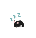 可愛いチンチラ、達磨くん/Black Velvet（個別スタンプ：9）