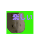 ユキ うさぎ いろいろ（個別スタンプ：1）
