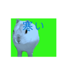 ユキ うさぎ いろいろ（個別スタンプ：7）