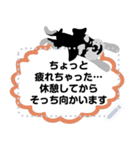 シュナロア メッセージスタンプ（個別スタンプ：9）