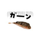表情が読み取れないフグの稚魚スタンプ（個別スタンプ：2）