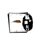 表情が読み取れないフグの稚魚スタンプ（個別スタンプ：6）