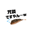 表情が読み取れないフグの稚魚スタンプ（個別スタンプ：7）
