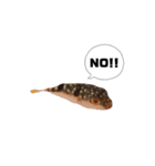 表情が読み取れないフグの稚魚スタンプ（個別スタンプ：10）
