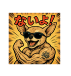 筋肉チワワ。（個別スタンプ：4）