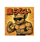 筋肉チワワ。（個別スタンプ：18）