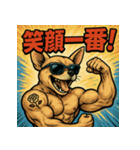 筋肉チワワ。（個別スタンプ：26）