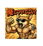 筋肉チワワ。（個別スタンプ：27）