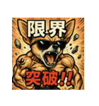 筋肉チワワ。（個別スタンプ：28）