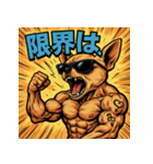筋肉チワワ。（個別スタンプ：37）