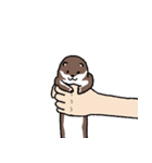 イタチのお友達 1（日本語版)（個別スタンプ：17）