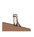 イタチのお友達 1（日本語版)（個別スタンプ：23）