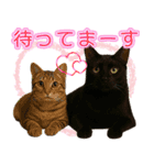 もなか ＆ まっちゃ（個別スタンプ：8）