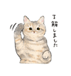 うちの子パステル麦わら猫！(にほんねこ)（個別スタンプ：2）