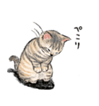 うちの子パステル麦わら猫！(にほんねこ)（個別スタンプ：6）