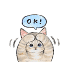 うちの子パステル麦わら猫！(にほんねこ)（個別スタンプ：8）