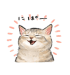 うちの子パステル麦わら猫！(にほんねこ)（個別スタンプ：9）