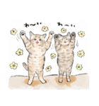うちの子パステル麦わら猫！(にほんねこ)（個別スタンプ：11）