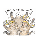 うちの子パステル麦わら猫！(にほんねこ)（個別スタンプ：15）