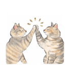 うちの子パステル麦わら猫！(にほんねこ)（個別スタンプ：17）