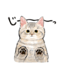 うちの子パステル麦わら猫！(にほんねこ)（個別スタンプ：22）