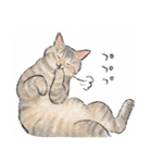 うちの子パステル麦わら猫！(にほんねこ)（個別スタンプ：23）