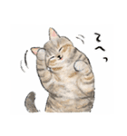 うちの子パステル麦わら猫！(にほんねこ)（個別スタンプ：24）