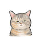 うちの子パステル麦わら猫！(にほんねこ)（個別スタンプ：25）