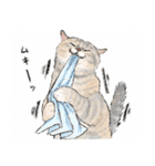 うちの子パステル麦わら猫！(にほんねこ)（個別スタンプ：27）