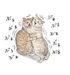 うちの子パステル麦わら猫！(にほんねこ)（個別スタンプ：31）