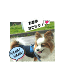 レオ❗️遊んでね（個別スタンプ：2）