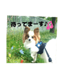 レオ❗️遊んでね（個別スタンプ：4）