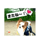 レオ❗️遊んでね（個別スタンプ：6）