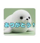 アザラシもふもふスタンプ（個別スタンプ：5）