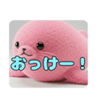 アザラシもふもふスタンプ（個別スタンプ：9）