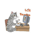 グレーのトラ猫 モフたんの日常（個別スタンプ：4）