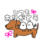 ダックスと○○②（個別スタンプ：16）